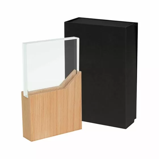 RECONOCIMIENTO LYNOR