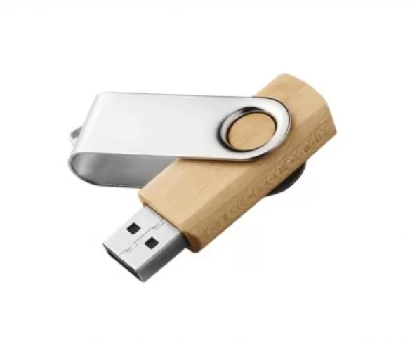 USB CLIP 8GB