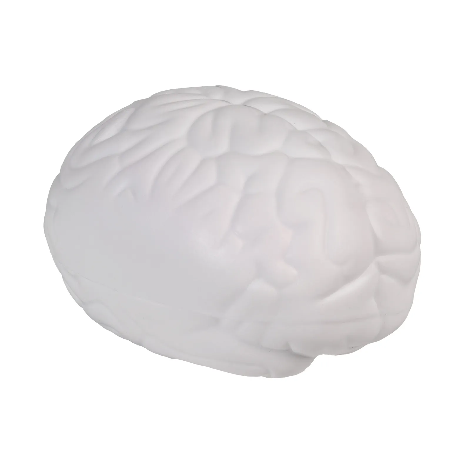 SQUISHY CEREBRO